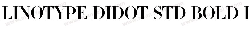 Linotype Didot Std Bold Itali字体转换